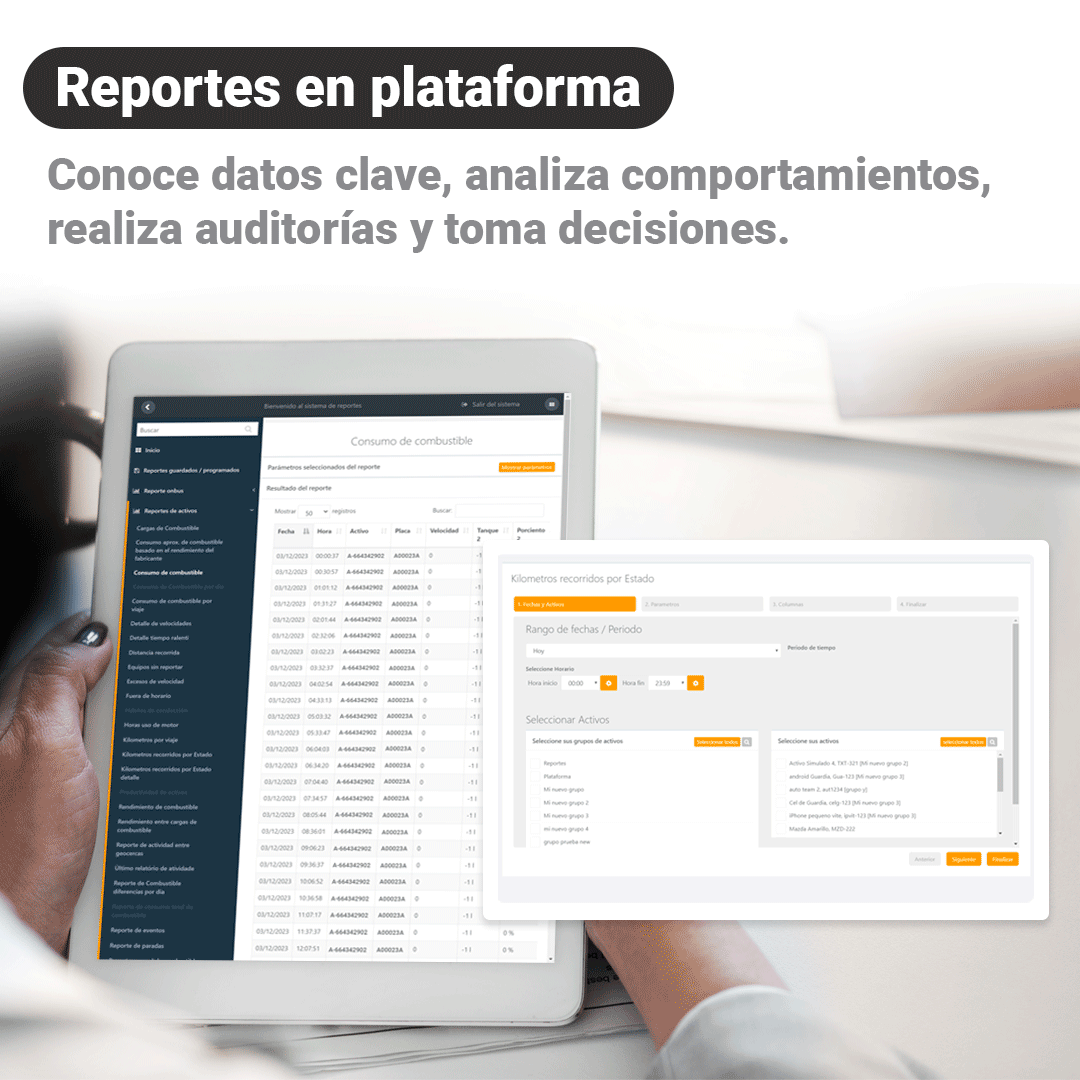 OnReports - Reportes
